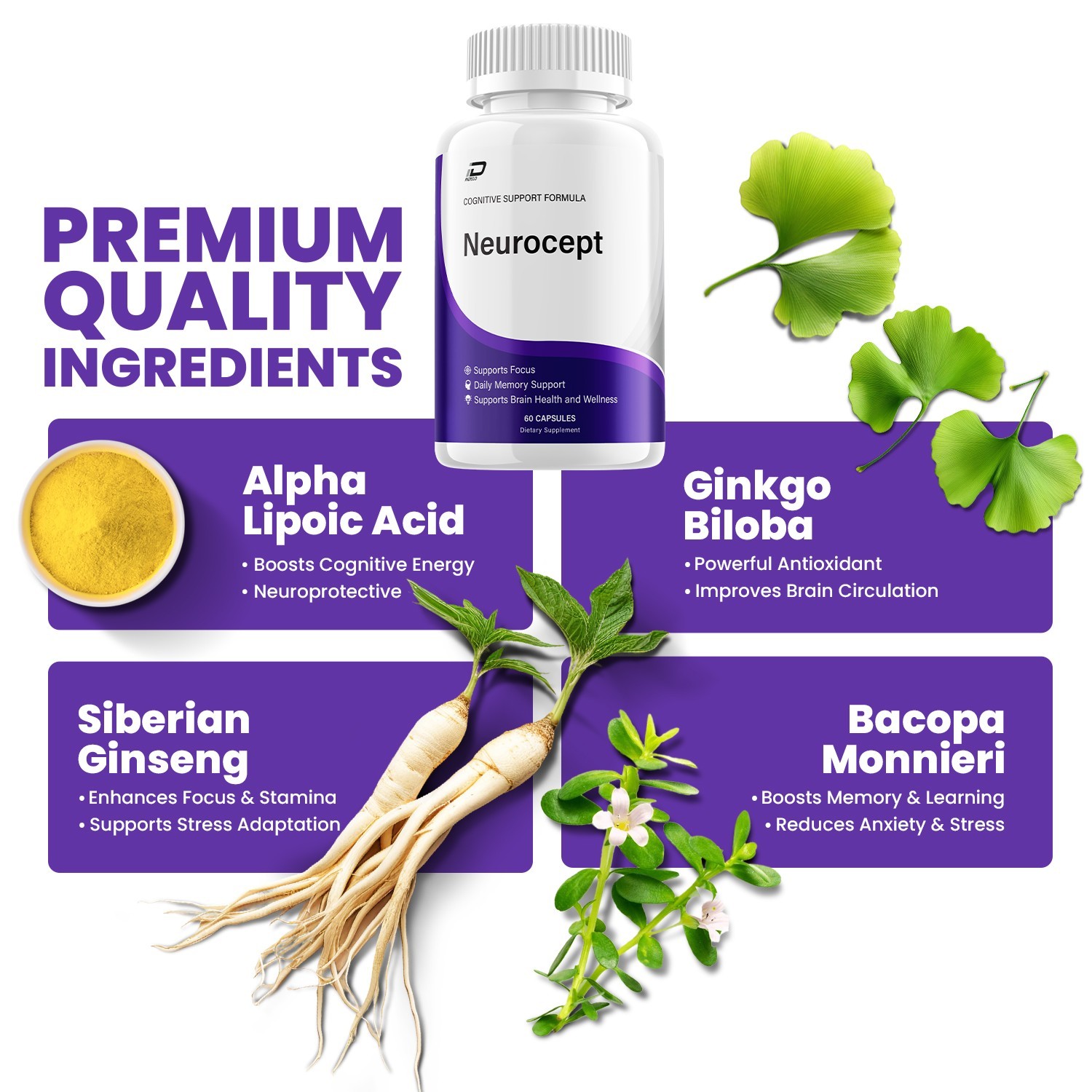 (2 Pack) Neurocept Supplement Capsules – Neurocept Natural Blend Memory Focus