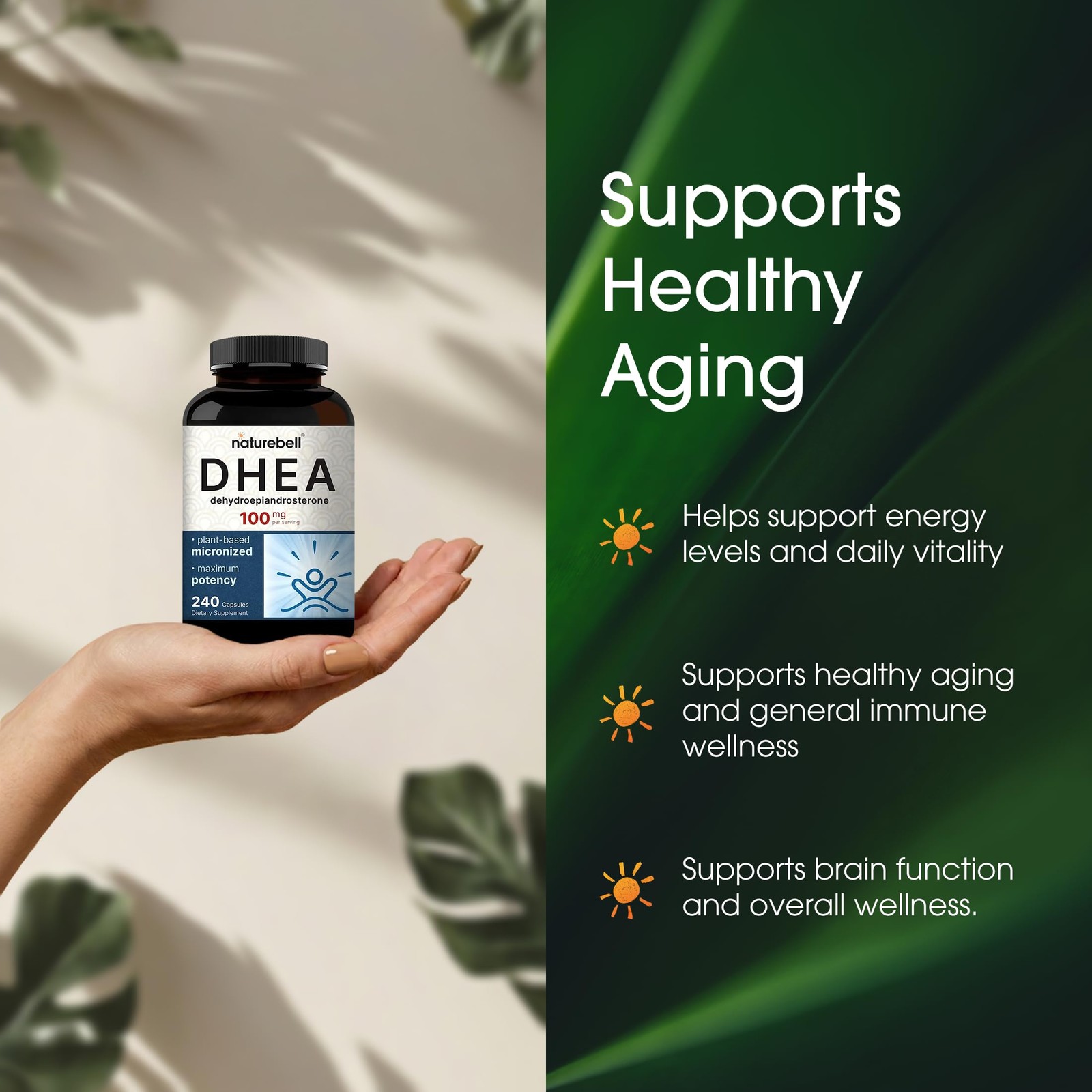 NatureBell DHEA 100mg – 240 Capsules – Supplement 240 Count (Pack of 1)