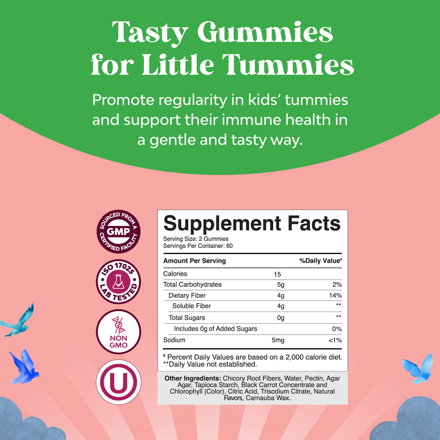 Kids Fiber Gummies Sugar Free – Delicious Prebiotic Fiber Gummies for Kids
