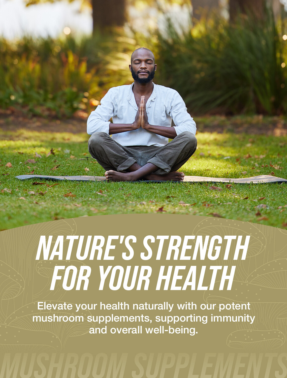 BulkSupplements Turkey Tail Mushroom Extract Powder – Boosts Gut Health