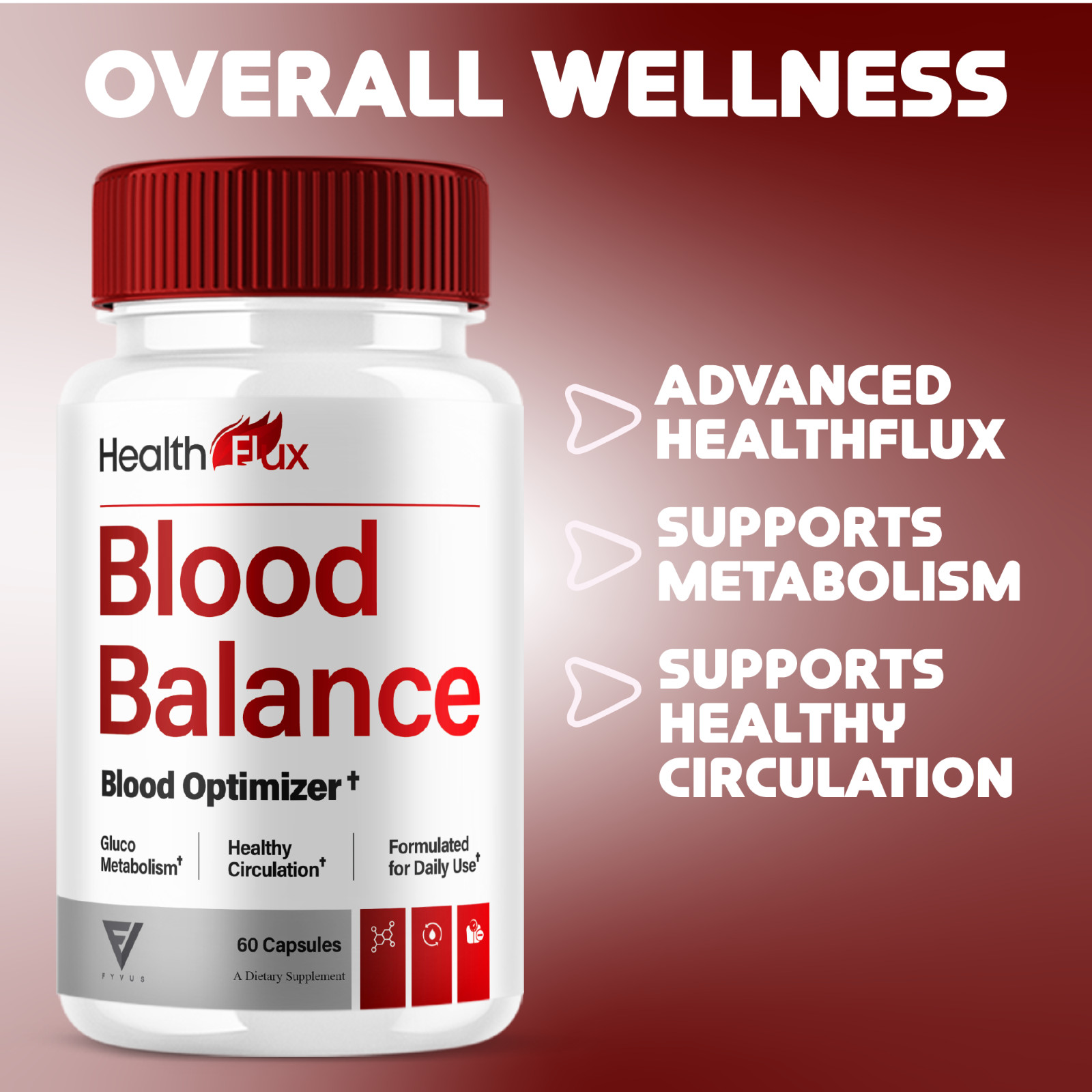 (2 Pack) Health Flux Blood Support Supplement, HealthFlux Pills (120 Capsules)