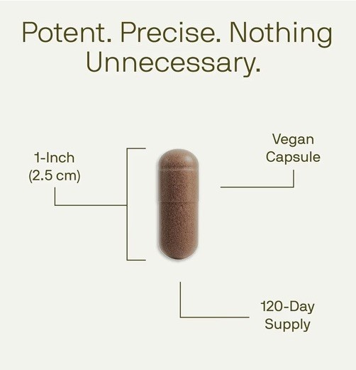 Nutriissa Beef Organs Grass Fed Liver Healthy Heart Kidney Spleen, 240 Capsules