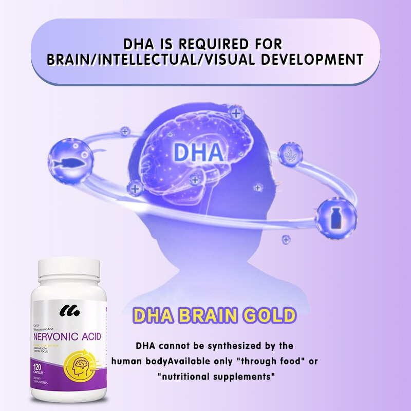 Brain Support 30/60/120 Capsules – Enhance Focus and Improve Mood