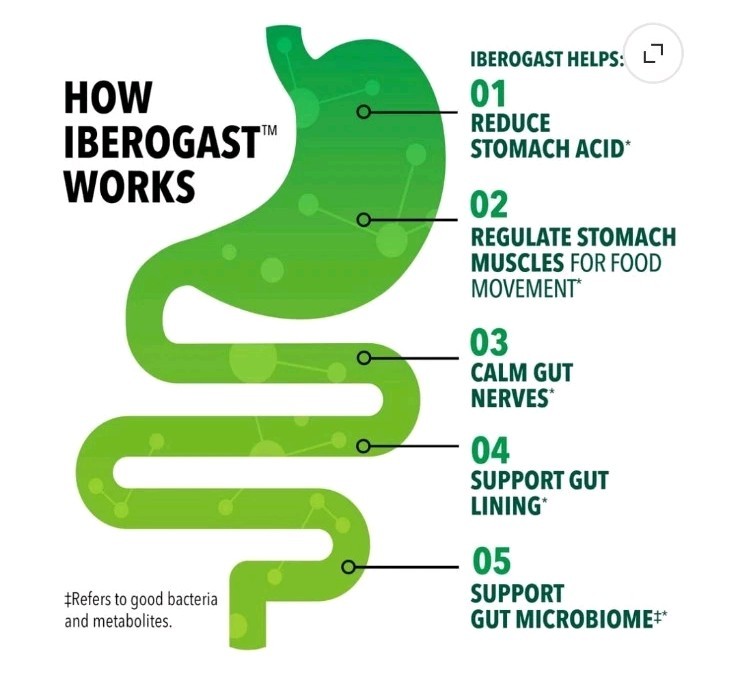 Two Iberogast Liquid Drops for Occasional Upset Stomach, 1.69 oz EA, Exp 08/2026