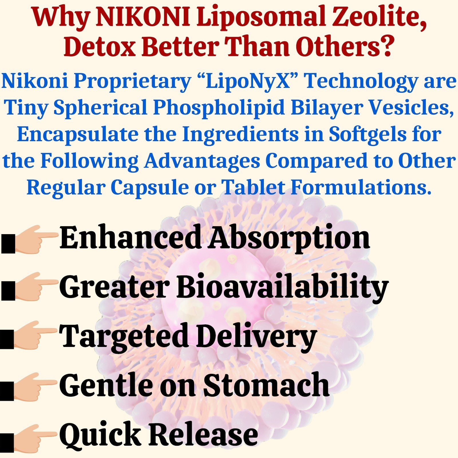 Nikoni Liposomal Zeolite, Charcoal & Organic Chlorella, Healthy Liver, Full Body
