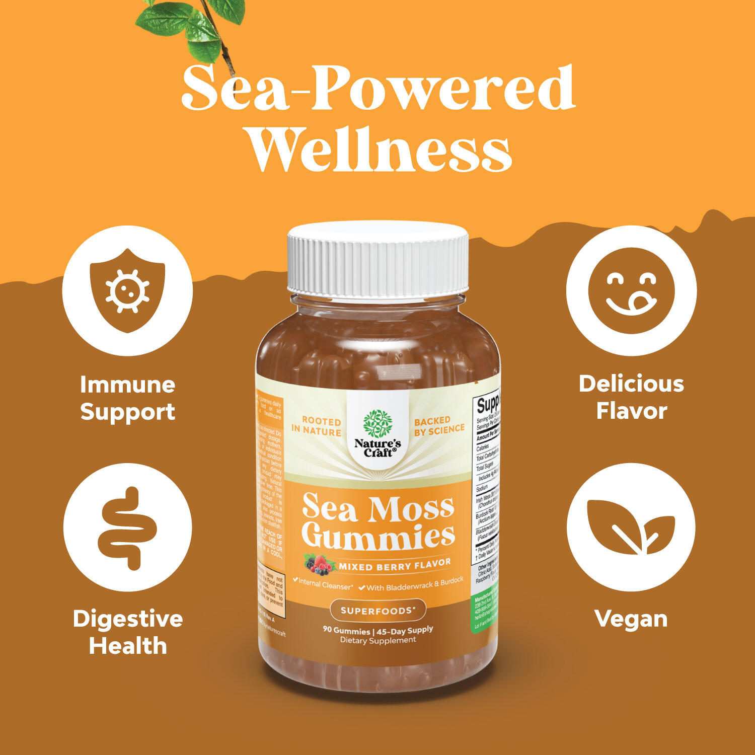 Natures Craft Irish Sea Moss Gummies for Women, Men & Kids – Immune Support 90ct