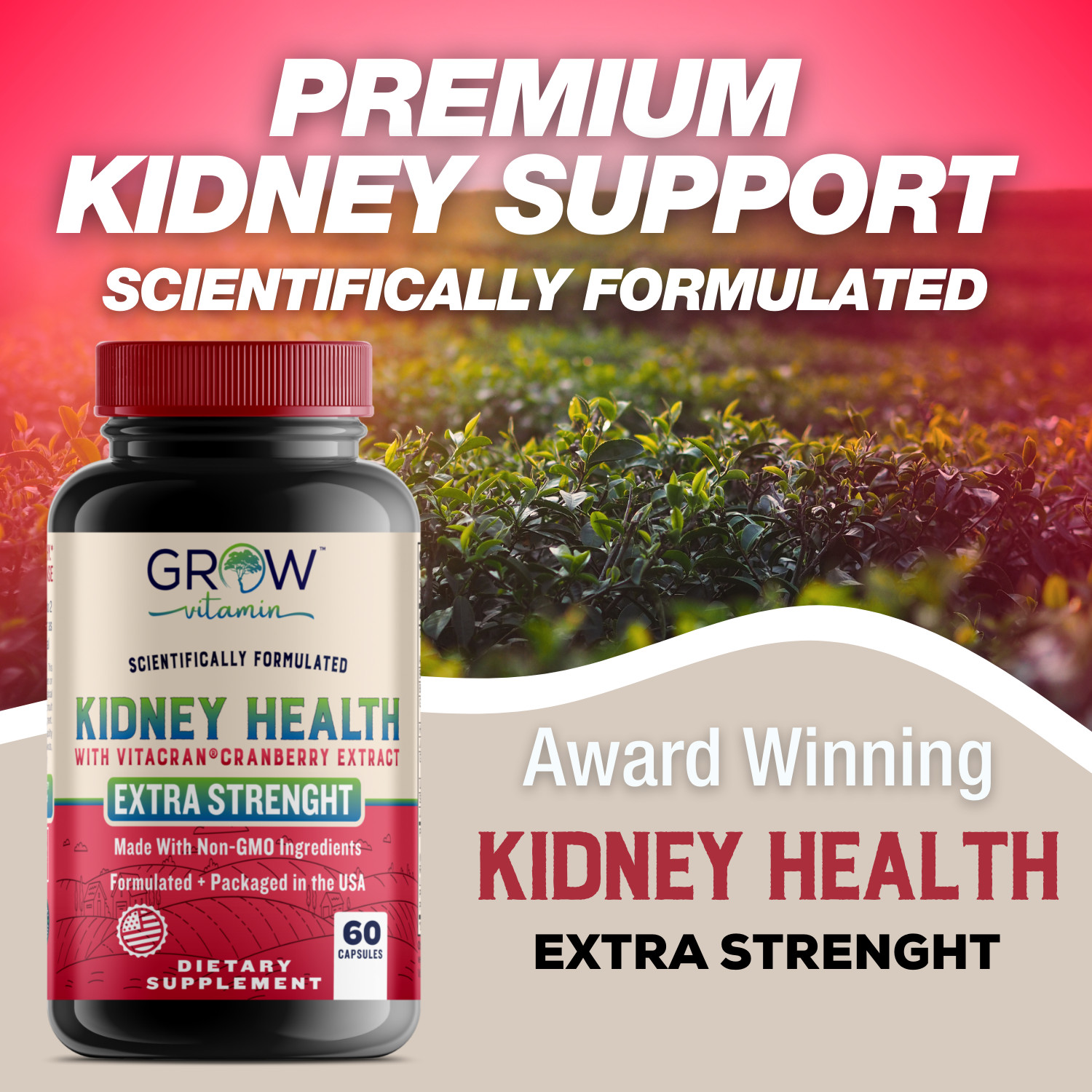 Kidney Restore Health Cleanse Support Detox Natural Supplement High Quality