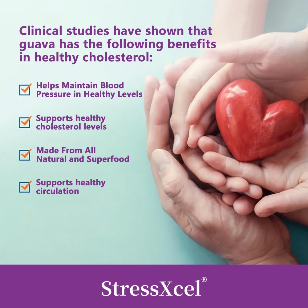 Natural cholesterol supplement 30/60/120Caps Supports Blood Pressure Balance