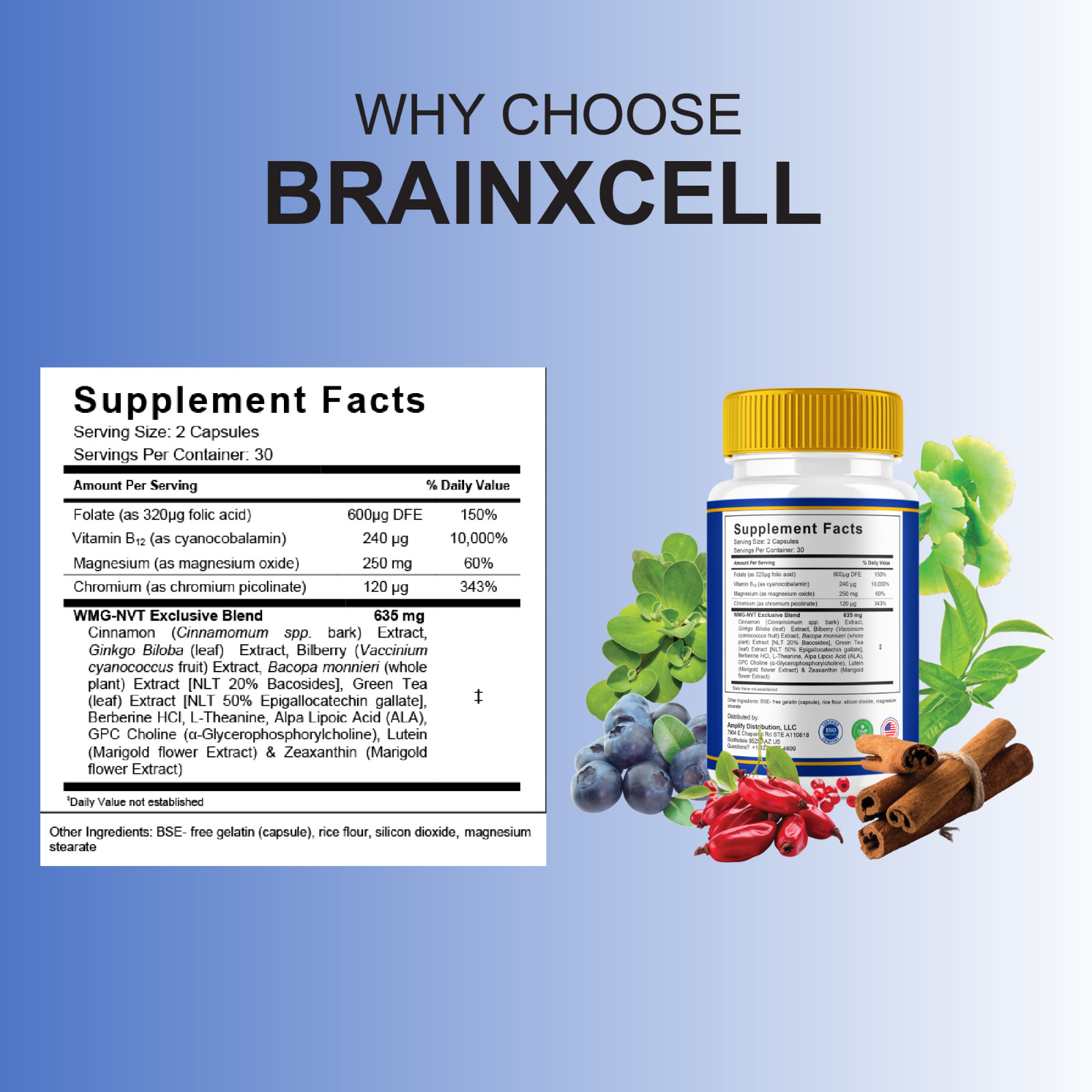 (2 Pack) BrainXCell Premium Nootropic Supplement, Brain X Cell (120 Capsules)