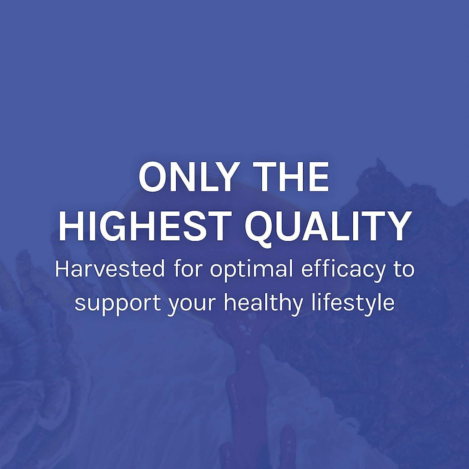 Host Defense Mushrooms, Stamets 7, Daily Immune Support, 120 Capsules