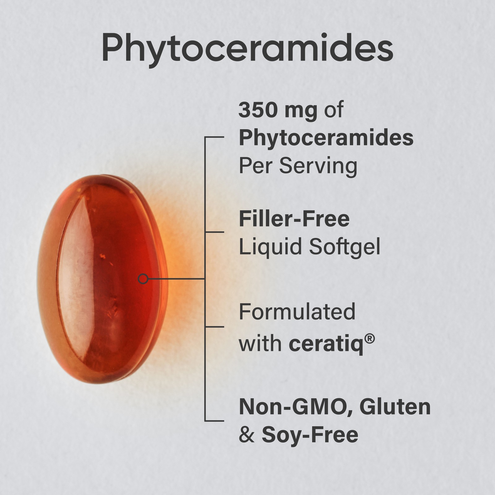 Phytoceramides 350mg – Plant Derived Ceramides for Healthy Skin and Hydration