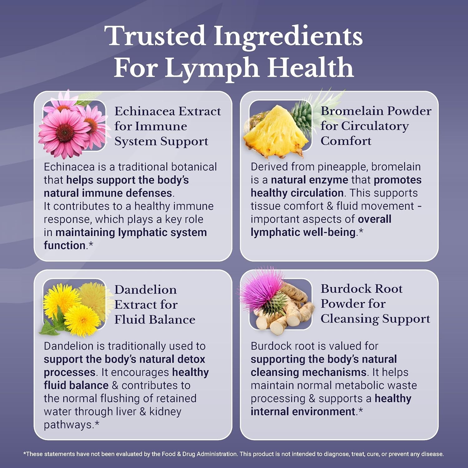 Lymph MD Lymphatic Drainage Supplement – with Bromelain, Echinacea, Burdock