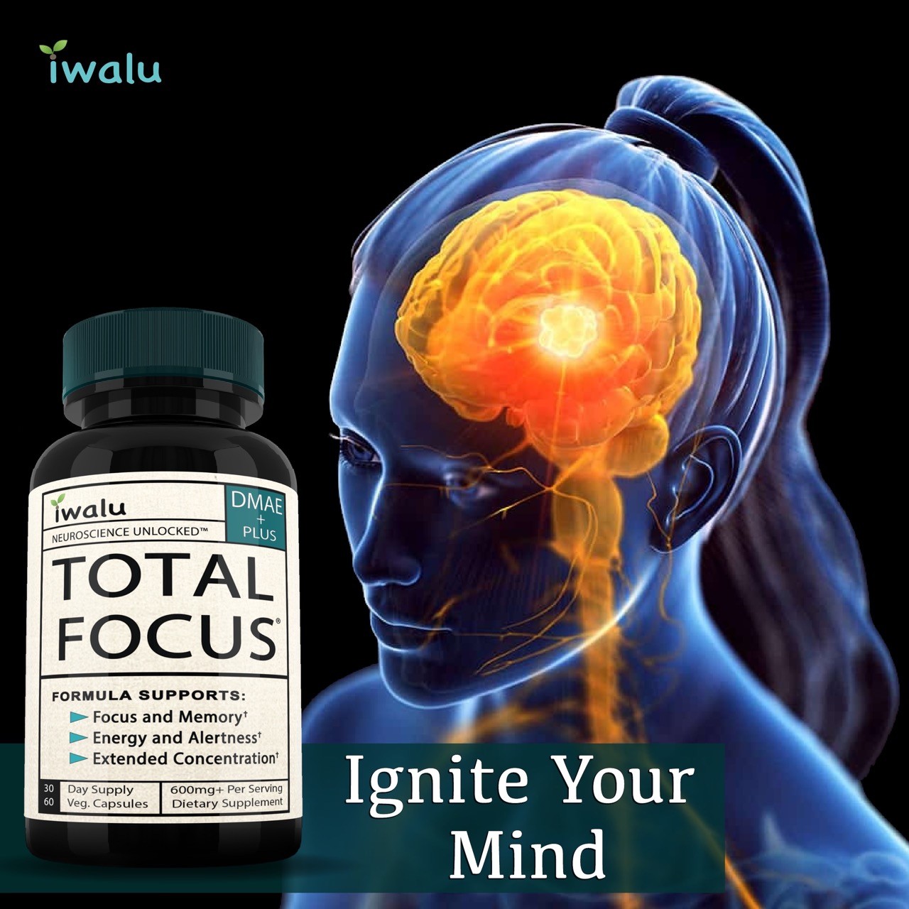 Vitamins For The Brain For Adults: Maintain Cognitive Health, Memory Support Vit