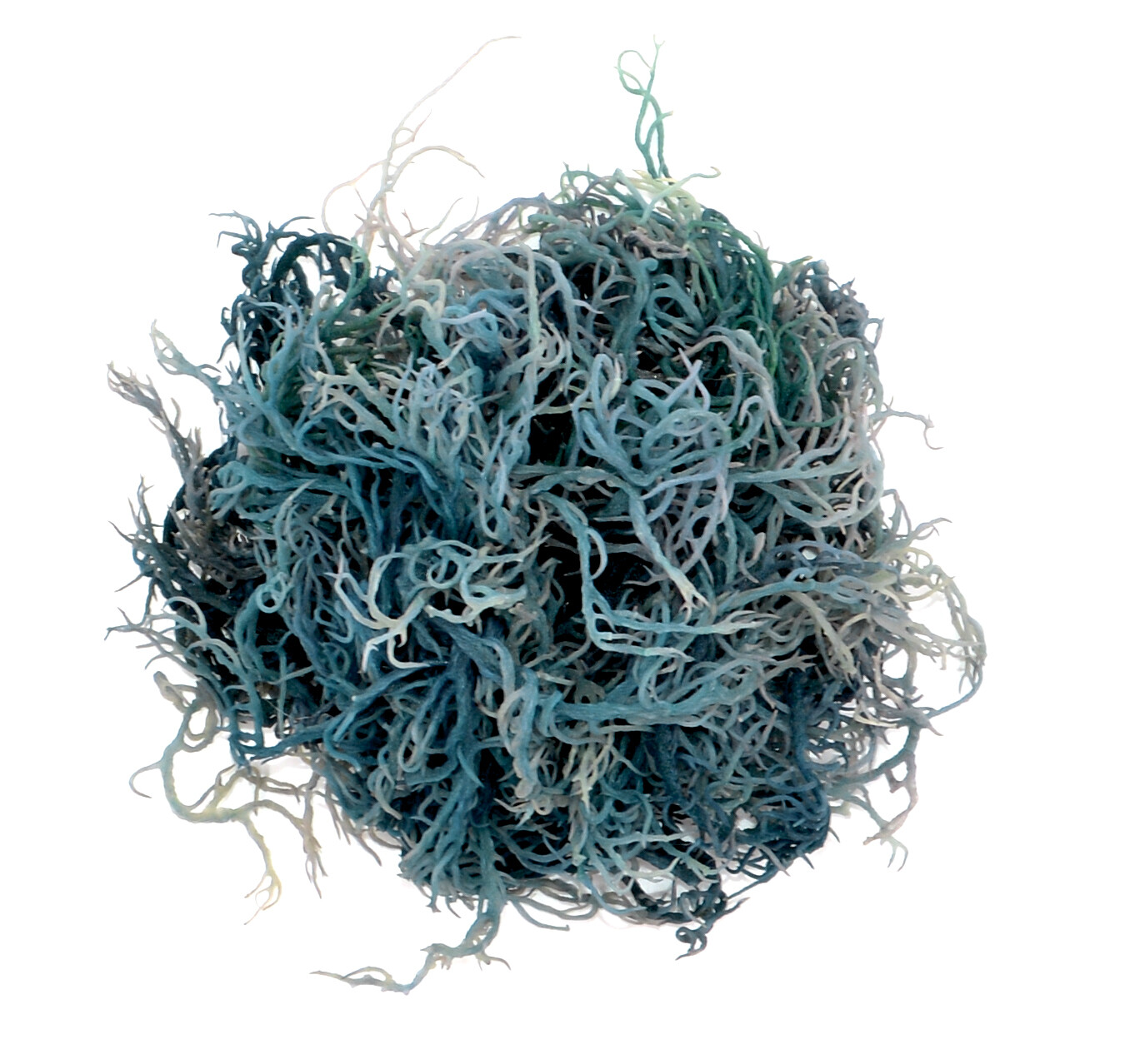 Green Sea Moss St Lucia / Dr Sebi Irish Moss Wildcrafted 100% Pure Raw