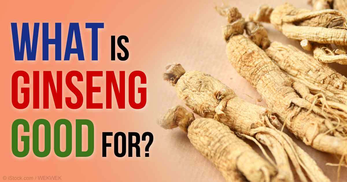 Energy Performance – KOREAN GINSENG – Reduces stress, Focus Support 1 Bottle