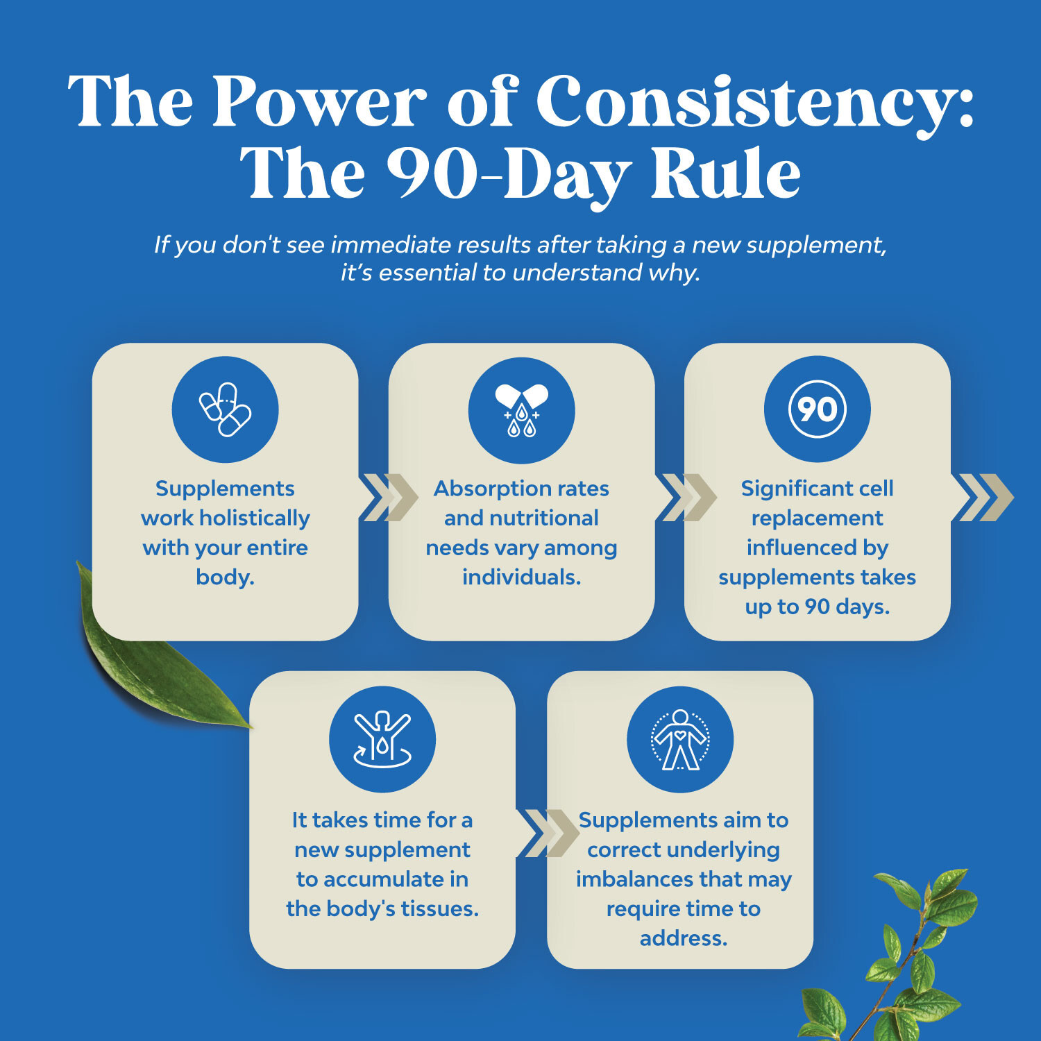 DHEA 100mg Per Serving for Men and Women – Vegan High Strength DHEA Supplement