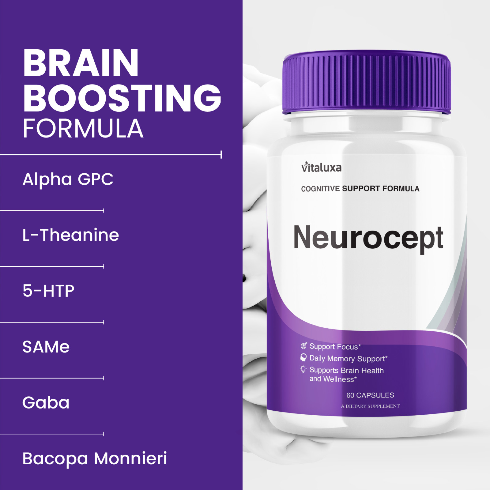 (3 Pack) Neurocept Nootropic All Natural Formula Brain Supplement (180 Capsules)