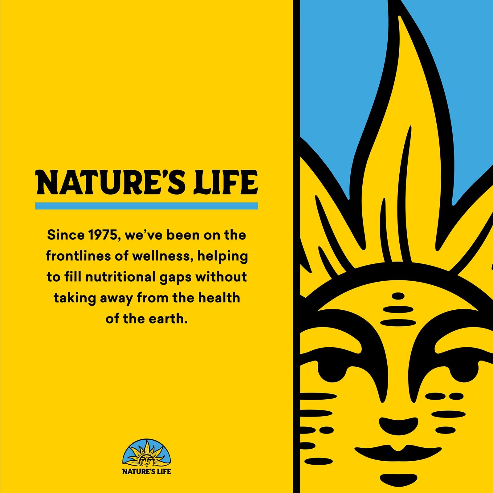 Nature’s Life Niacinamide, 1000 mg | Non Flushing Vitamin B3 Niacin Supplement |