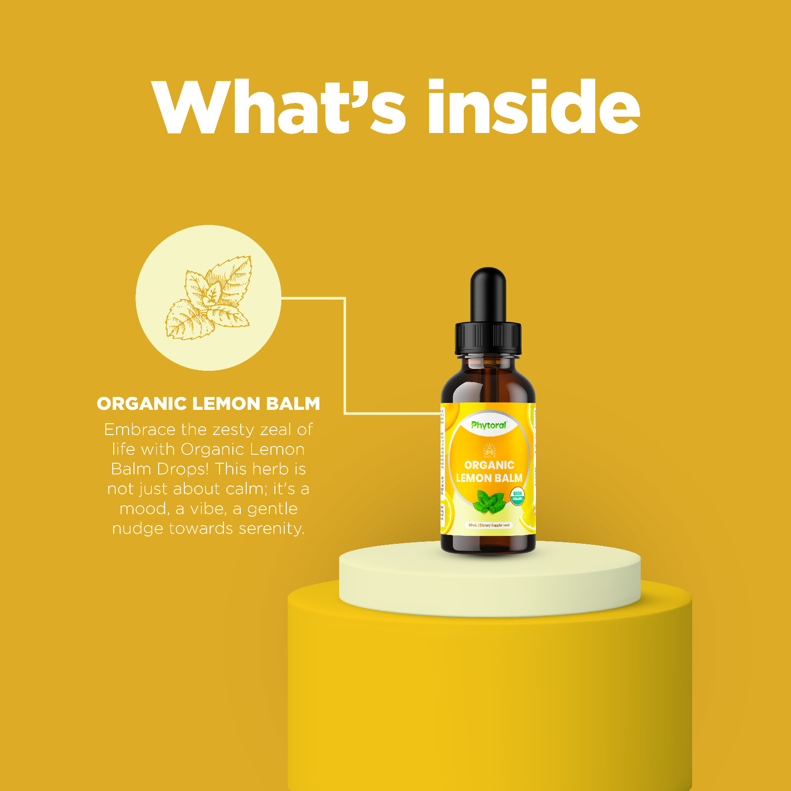 Lemon Balm Extract for Mood Support – Organic Lemon Balm Tincture for Immunity
