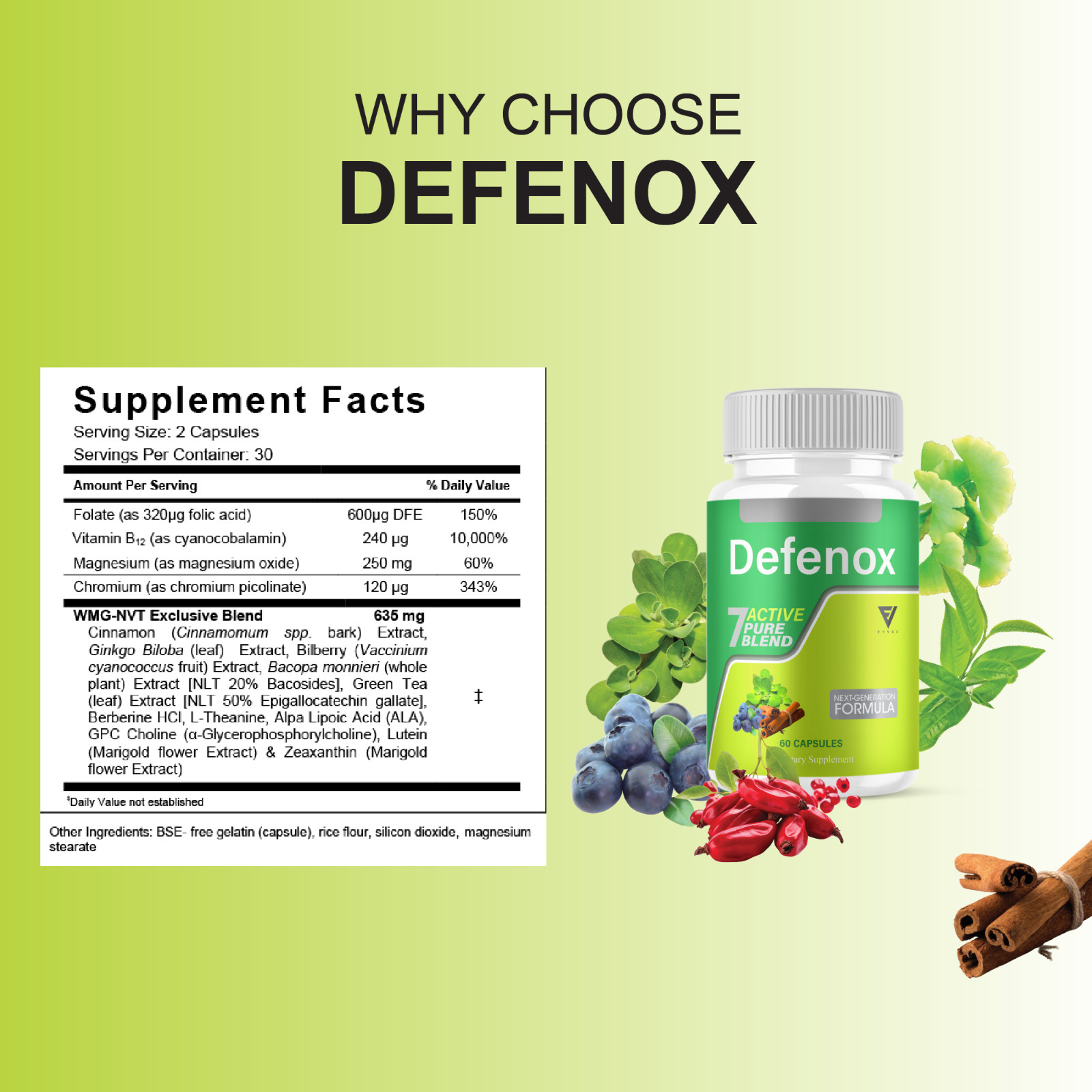 (2 Pack) Defenox Weight Management Support, Defe Nox Supplement (120 Capsules)