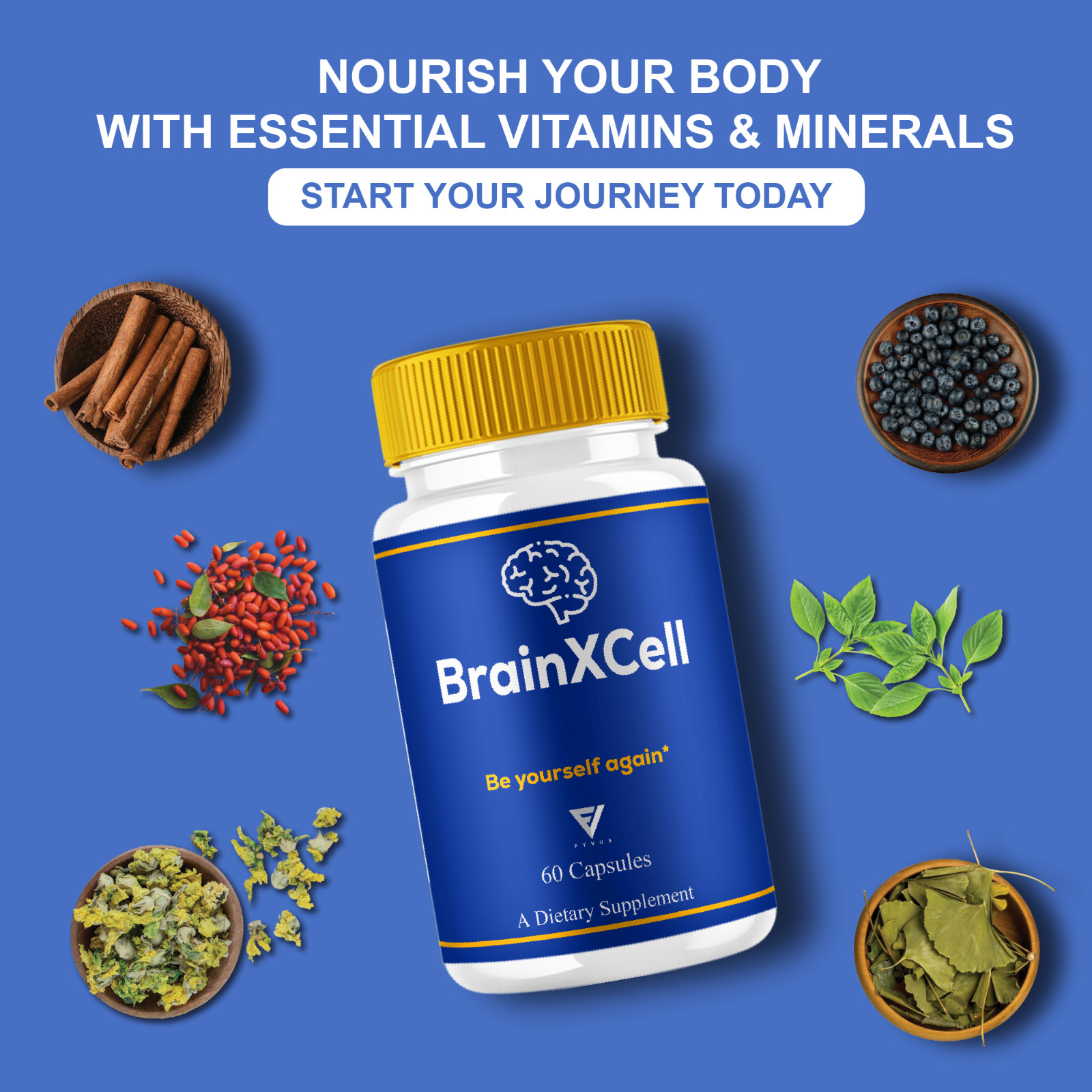 (2 Pack) BrainXCell Premium Nootropic Supplement, Brain X Cell (120 Capsules)