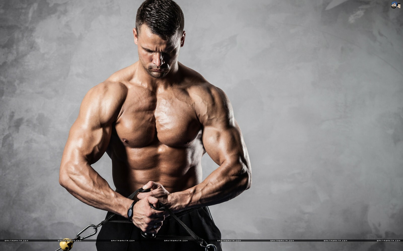 pre workout muscle growth – N.O. MUSCLE PUMP – nitric oxide complex 1B