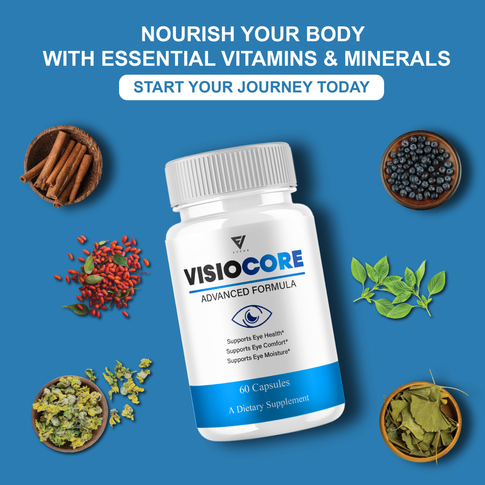 (5 Pack) VisioCore Advanced Formula, Visio Core Eye Care Support (300 Capsules)