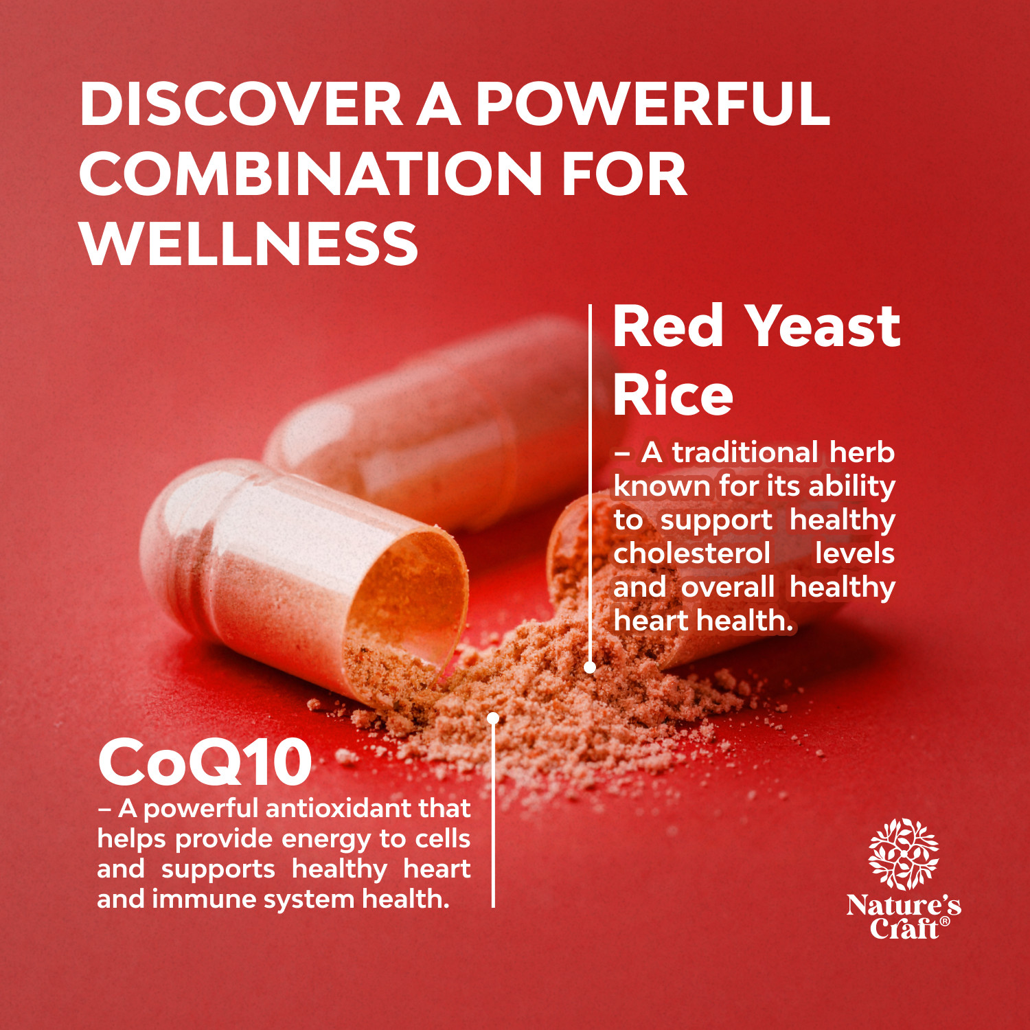 Red Yeast Rice with CoQ10 Supplement – Extra Strength Citrinin-Free
