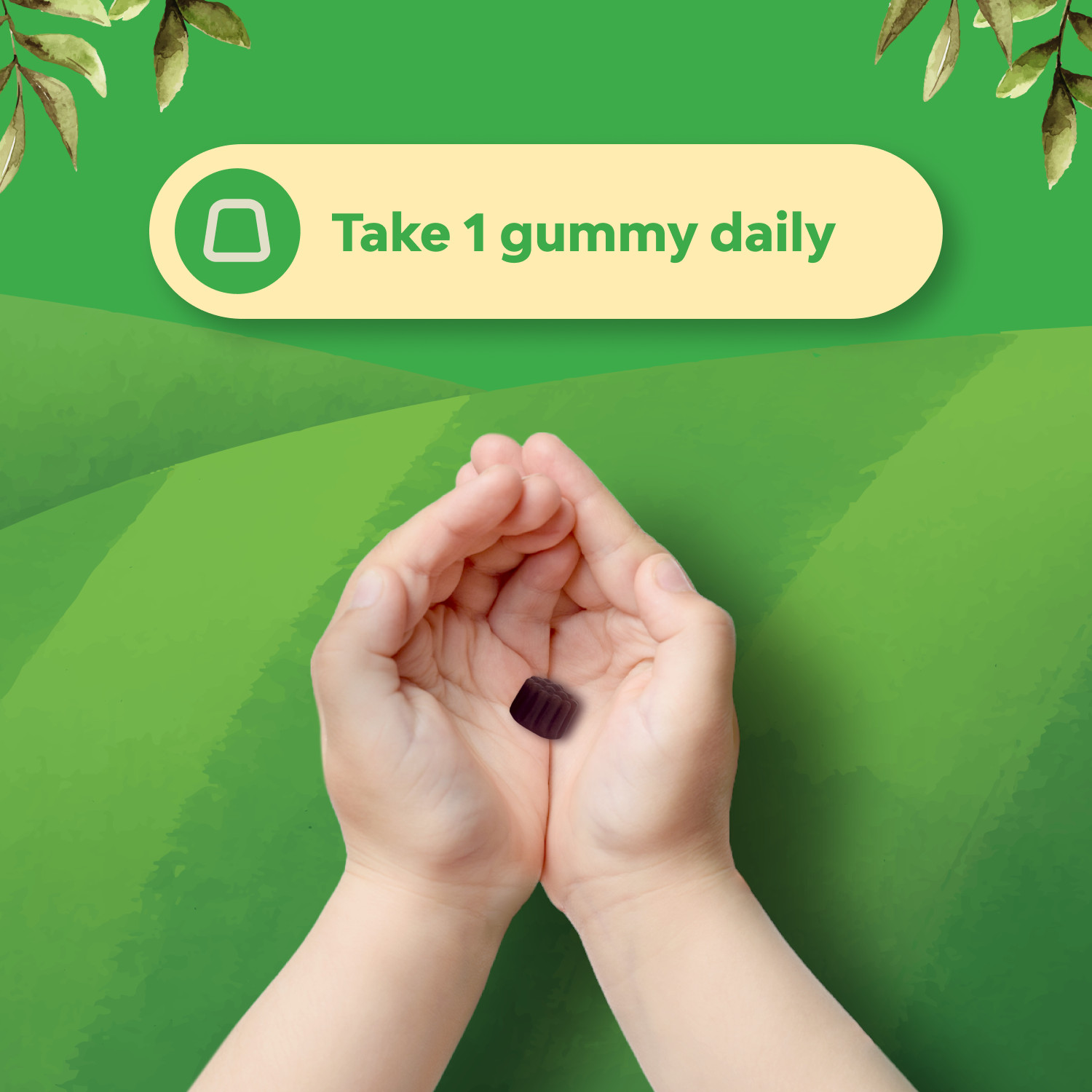 Natures Craft Kids Elderberry Gummies with Zinc and Vitamin C Vegan Non-GMO 30ct