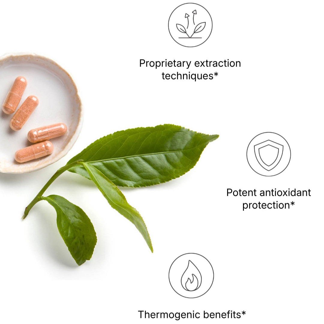 Nu Skin NuSkin Pharmanex Tegreen 97 120 Capsules Exp 10/2024 -NEW STOCK- SEALED