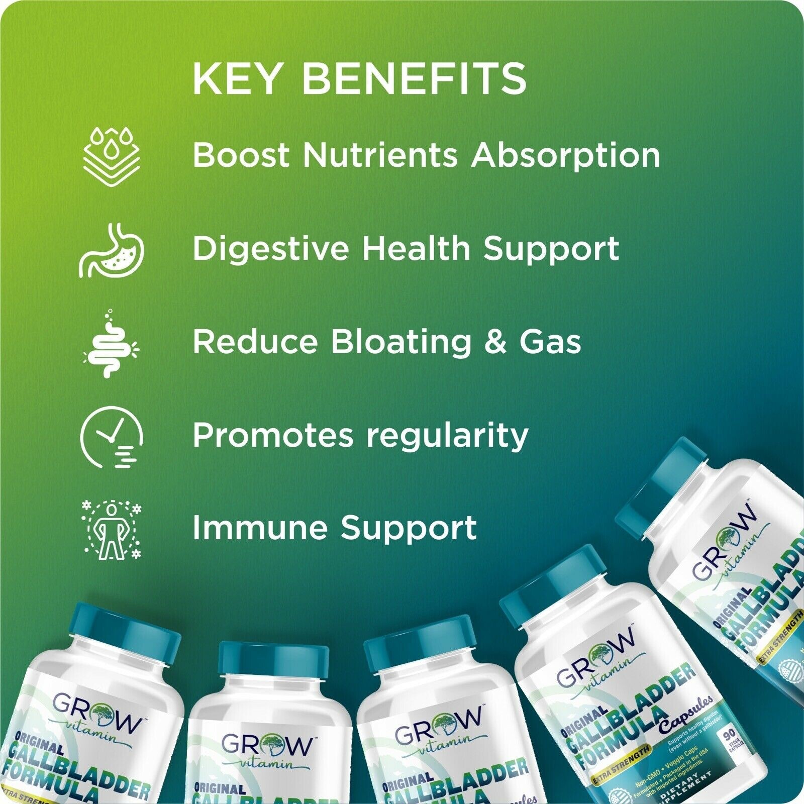 Pancreatin Digestive Enzymes for Digestive Health – Protease Amylase & Lipase