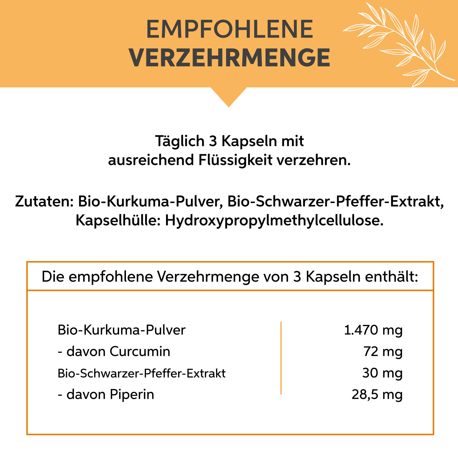 Bio Kurkuma Kapseln | Curcumin & Piperin Hochdosiert 1500mg Tagesdosis Curcuma