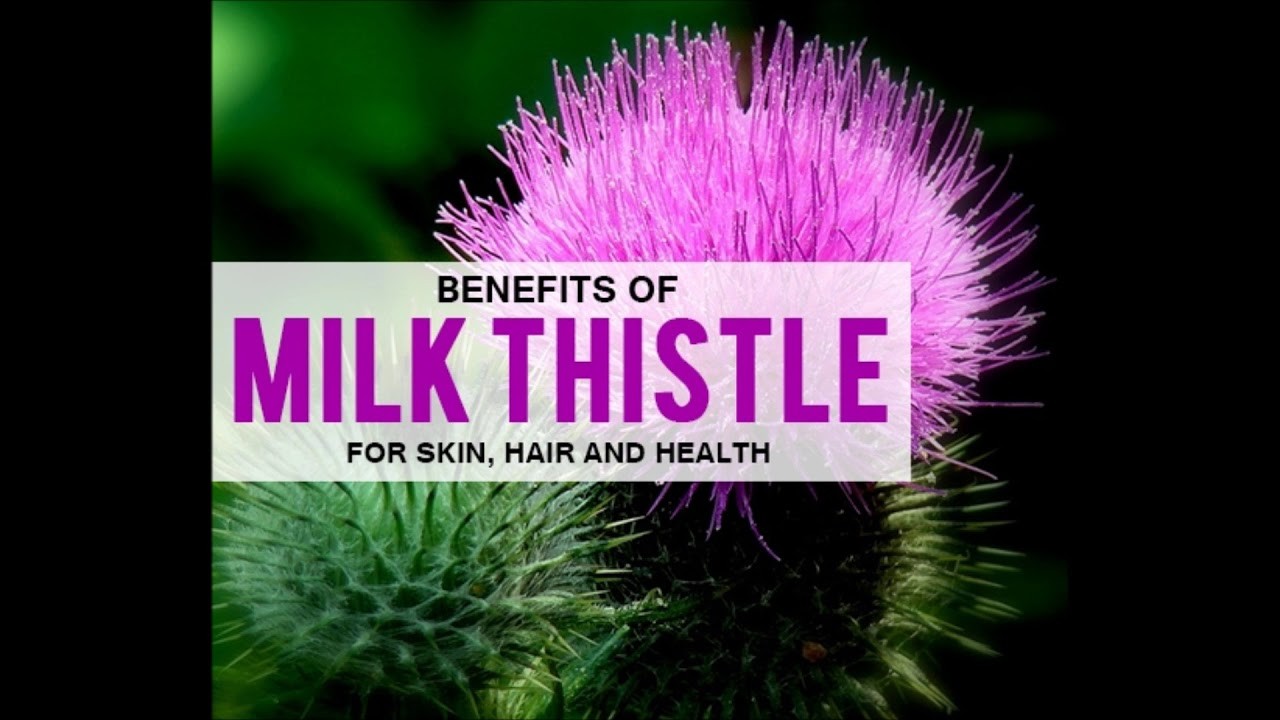 Fat loss pills -MILK THISTLE EXTRACT- milk thistle silymarin – 2 Bottles