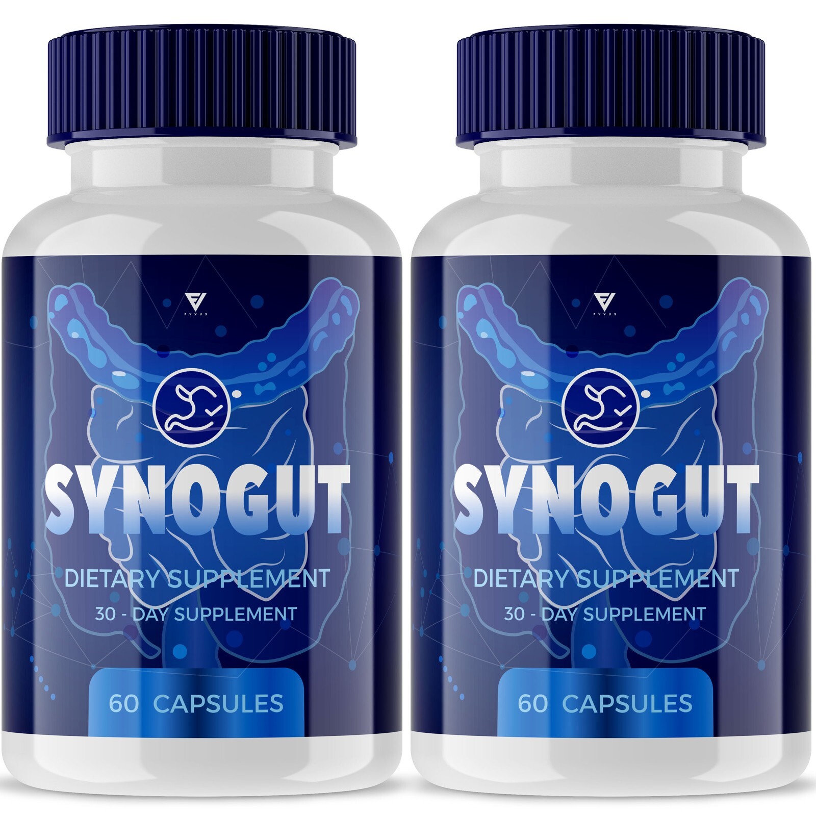 (2 Pack) Synogut Capsules Digestive Gut Support, Synogut Reviews (120 Capsules)