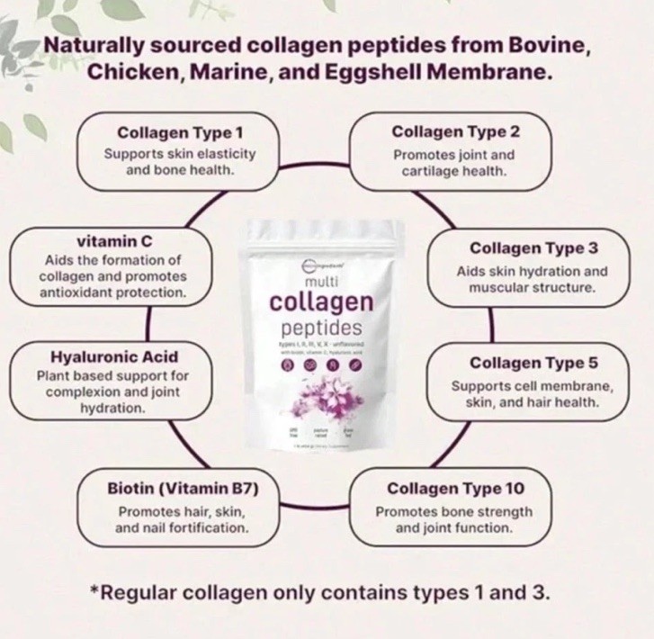 Microingredients Multi Collagen Peptides Grass Fed Unflavored Powder 1 lb