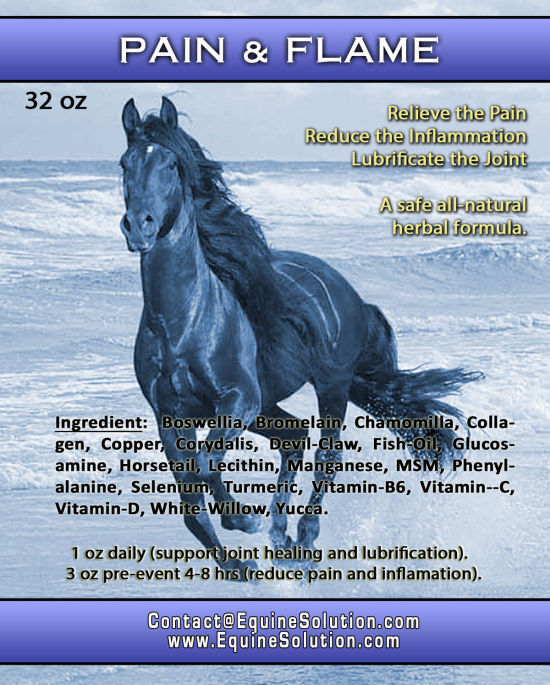 PAIN & FLAME – Reduce pain & inflammation (32oz Oral Liquid for Horses)