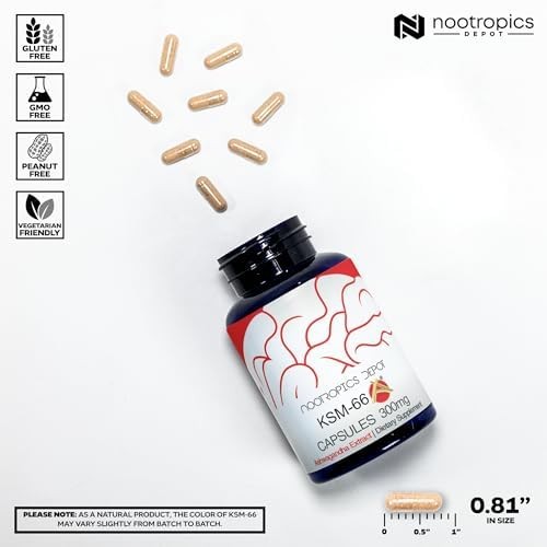 KSM-66 Ashwagandha 300mg Capsules 90 Count Adaptogen Supplement