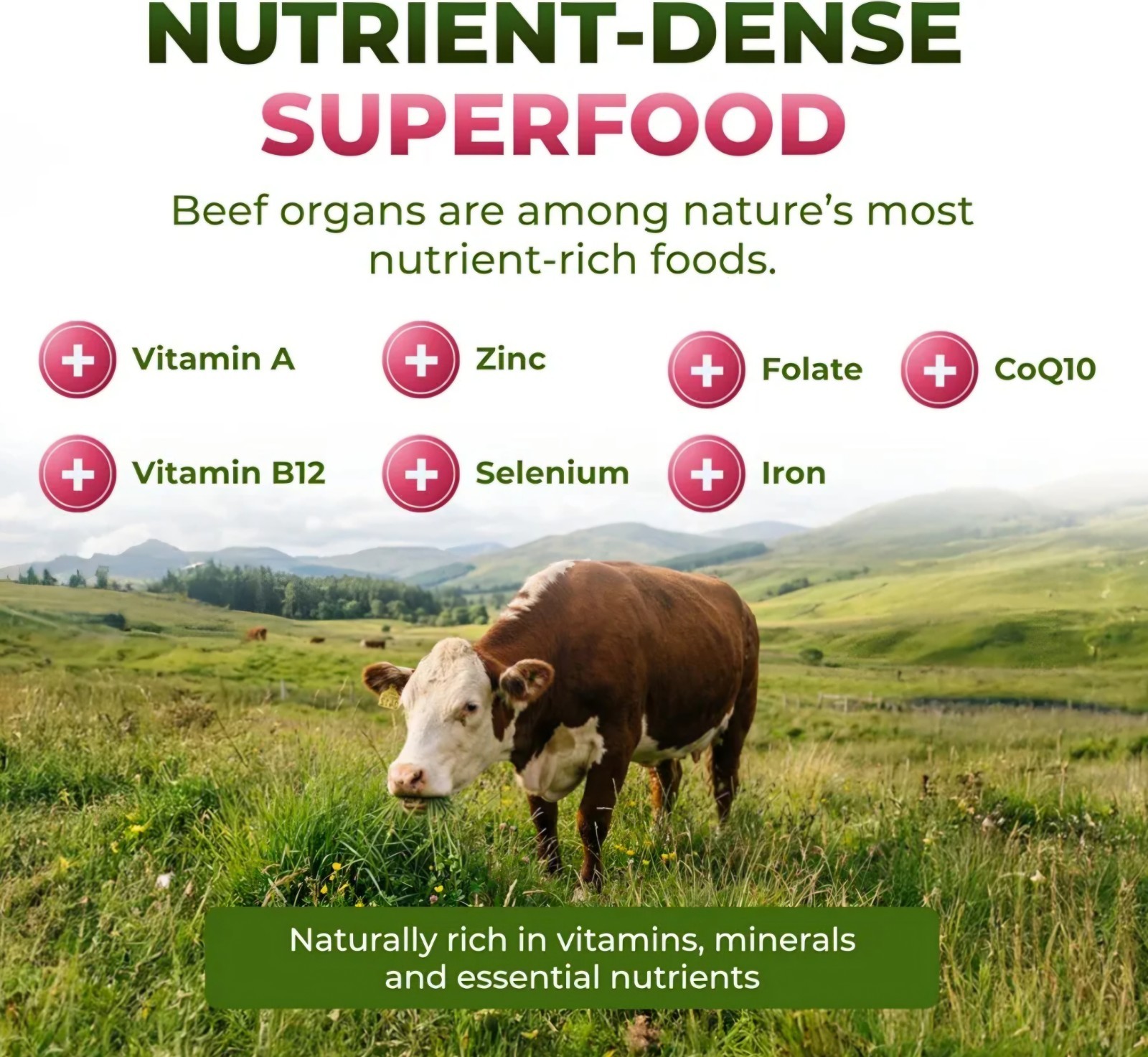 ForestLeaf Beef Organ Supplement for Women Grass Fed Complex 1200mg Women’s 120c
