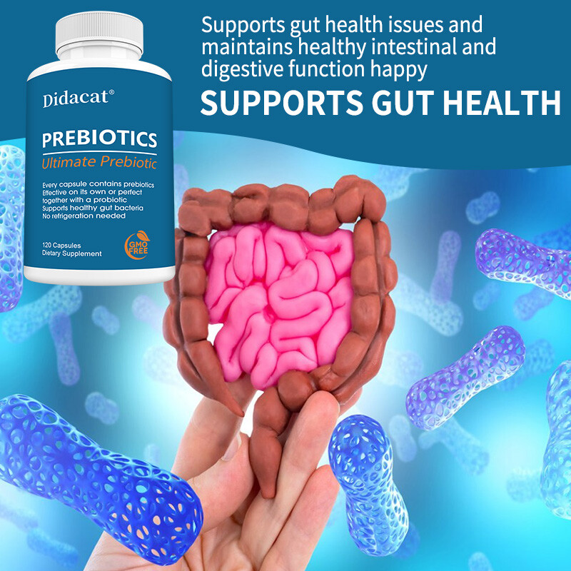 Prebiotic Supplement Protect Intestinal Health & Digestive System Health