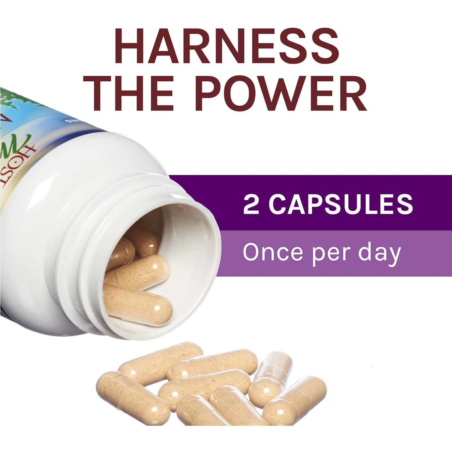 Fungi Perfecti Host Defense MyCommunity Comprehensive Immune Support,60 Veg Caps
