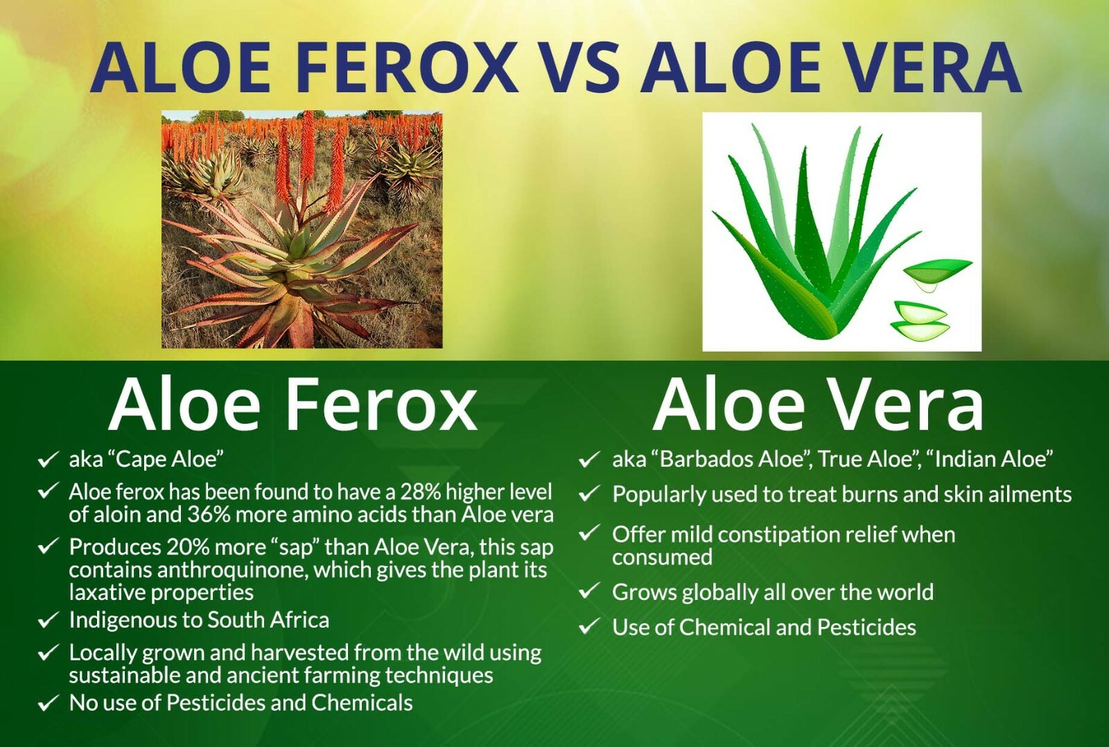 ALOE FEROX BITTER Crystals, Digestive Bitters. Pack Of 20 Containers.