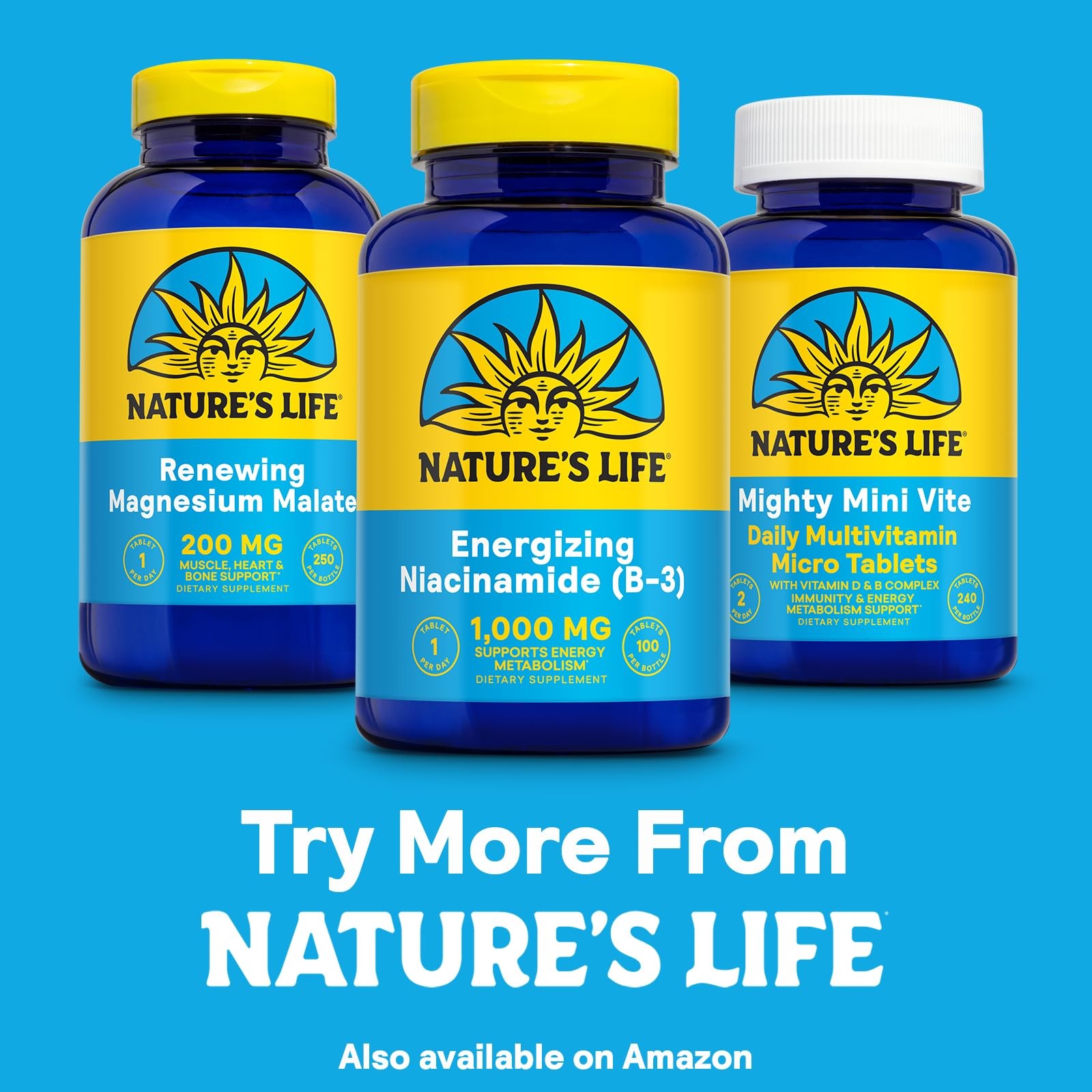 Nature’s Life Niacinamide, 1000 mg | Non Flushing Vitamin B3 Niacin Supplement |