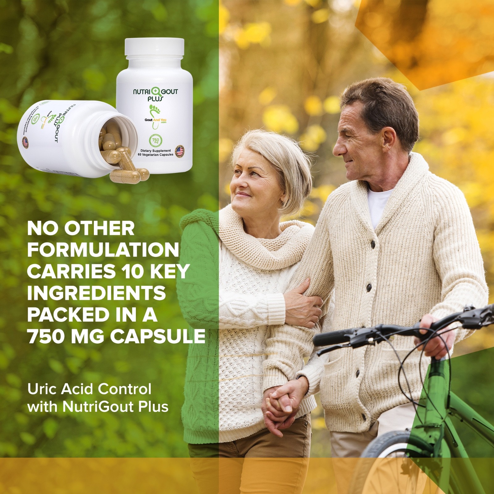 Nutrigout Plus Uric Acid Support by Gout and You