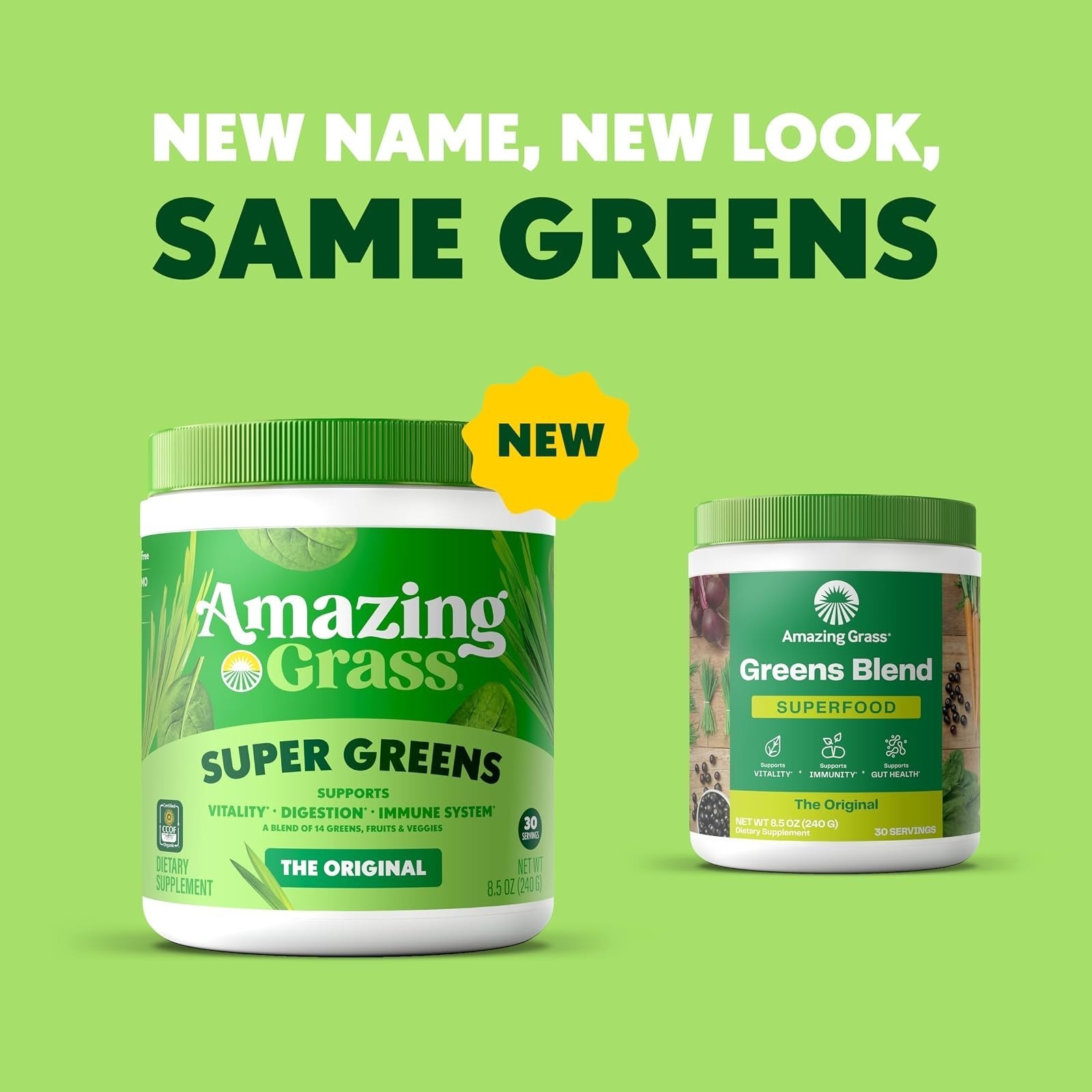 Amazing Grass Super Greens Powder – Organic Smoothie Supplement – 30 Servings