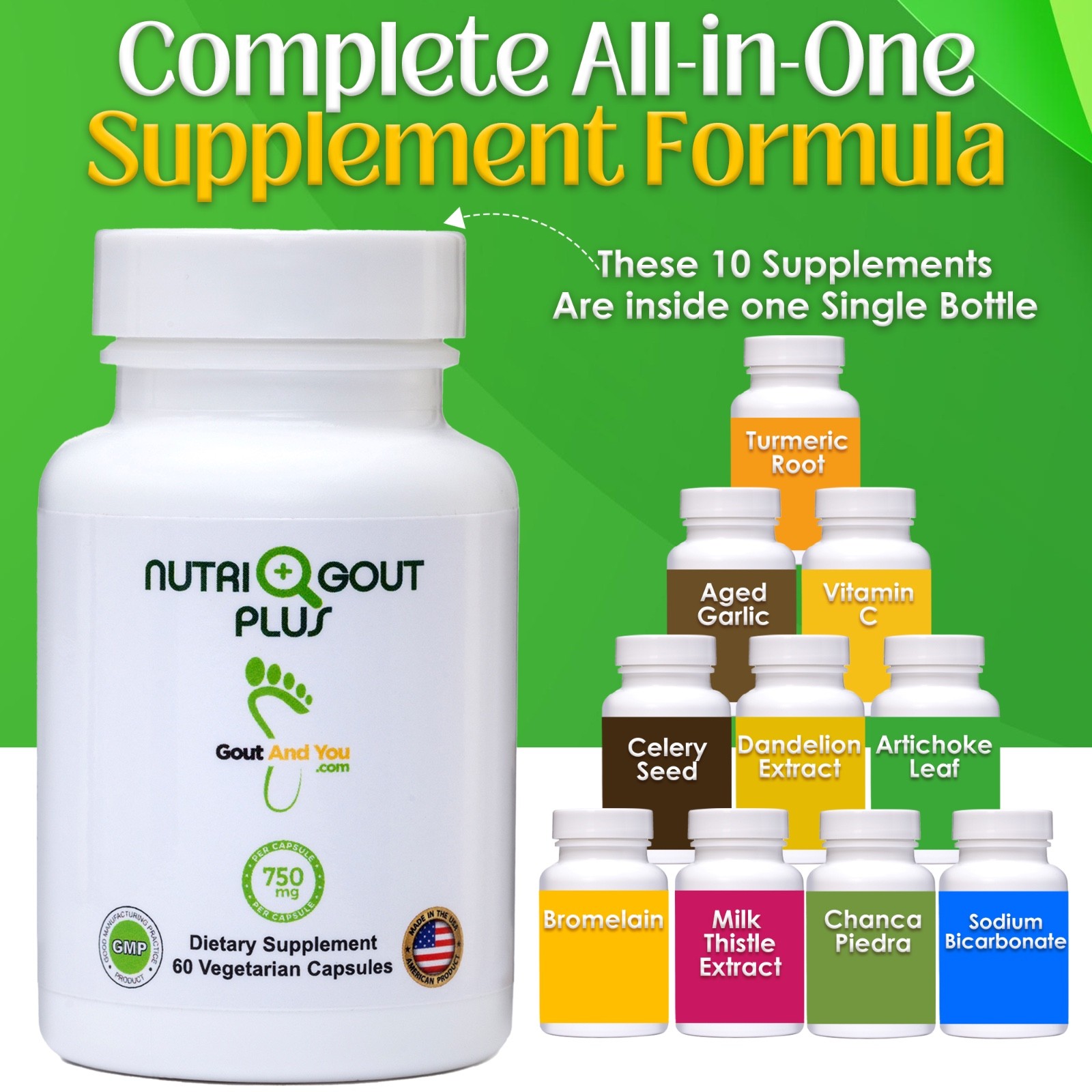 Nutrigout Plus Uric Acid Support by Gout and You