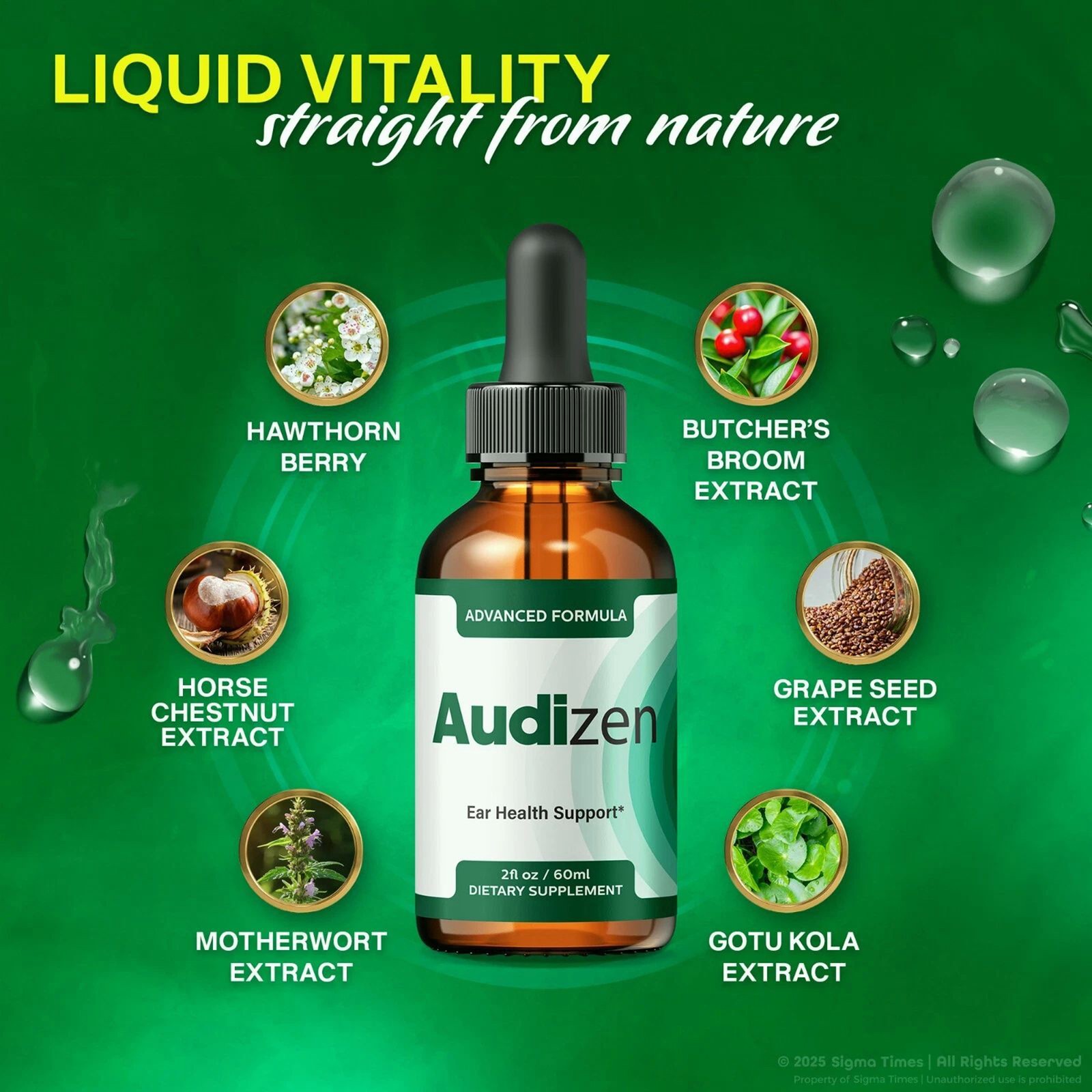 (1/2/3 Pack) Audizen Drops – Advanced Ear Health And Hearing Support Formula