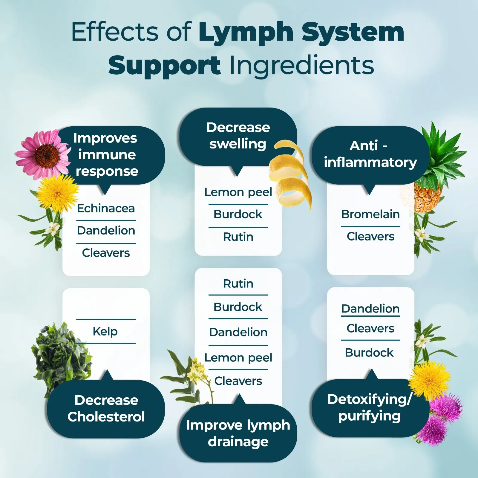 Vegan Lymphatic System Support Capsules Lymph Detox Cleanse Support Dietary