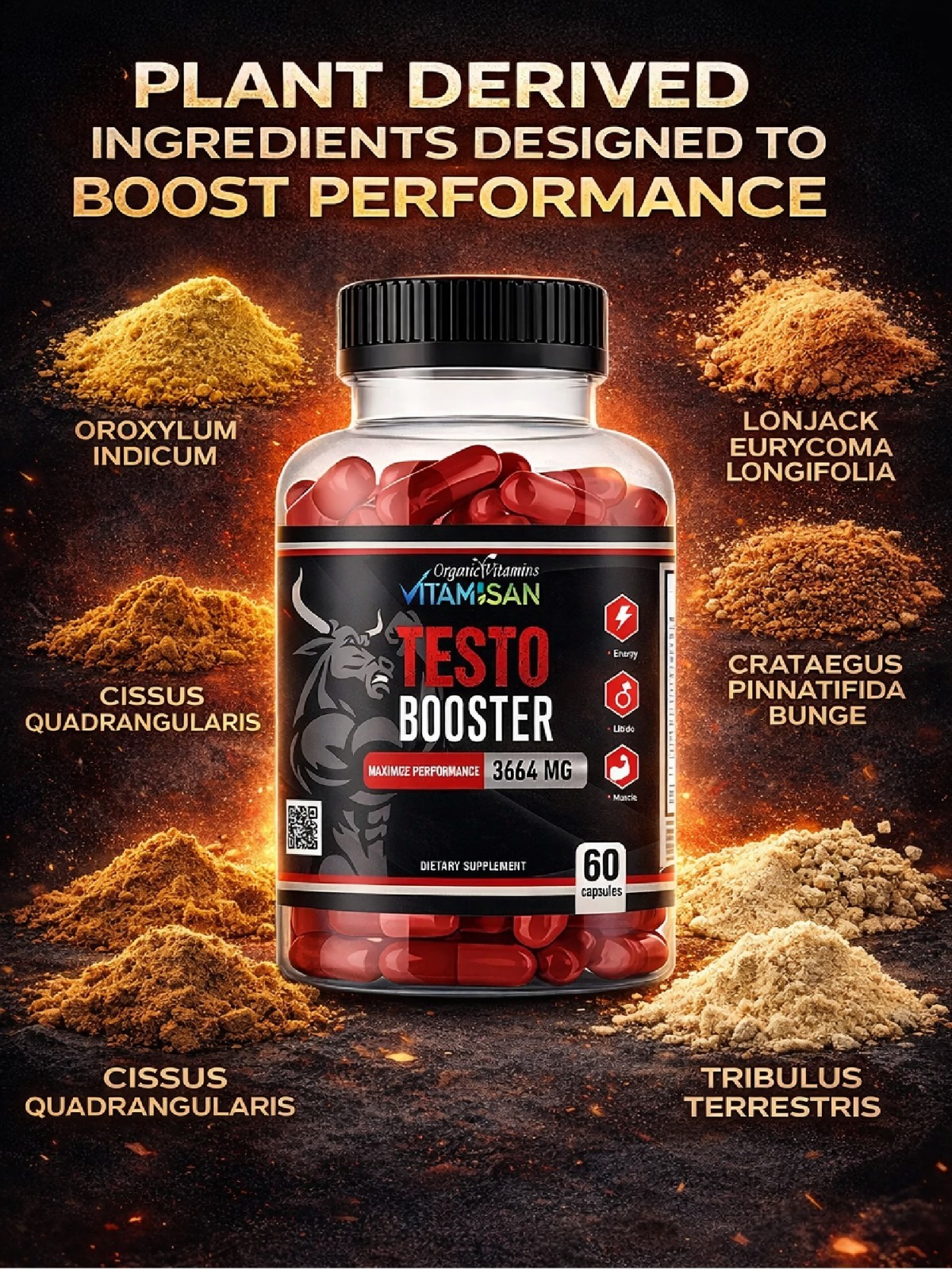 Vitamisan Testo Booster Duo | Herbal Male Support for Stamina & Power | 120 Caps