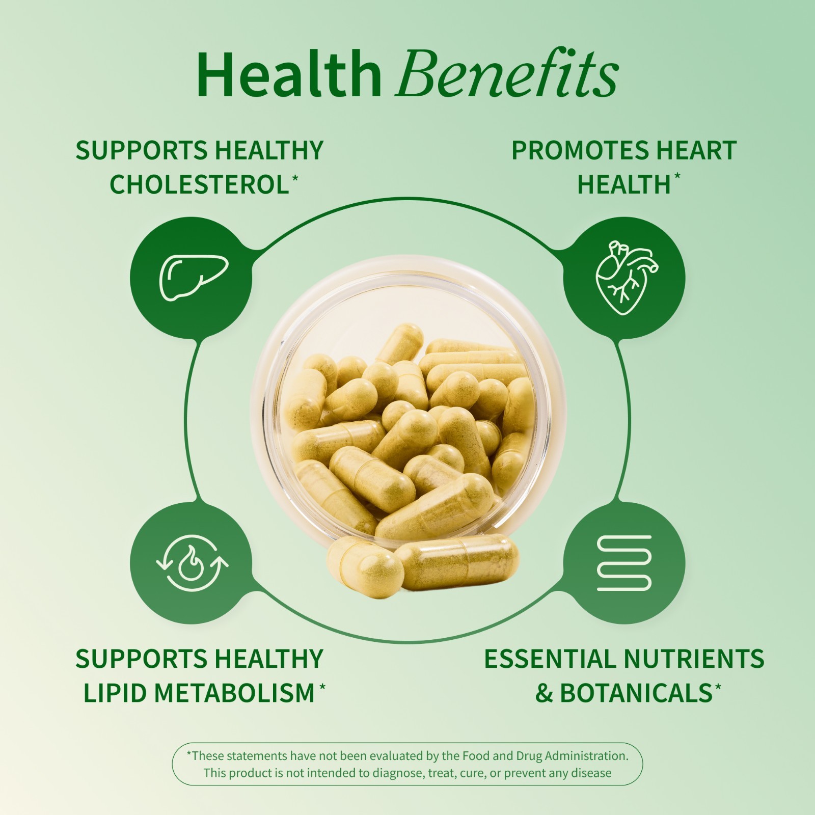 Cholesterol Health Snap Supplements Lipid Metabolism, Digestive Function, 60 Cap