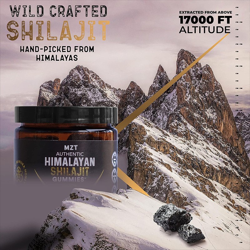 60 days Sun dried Shilajit Resin Gummies